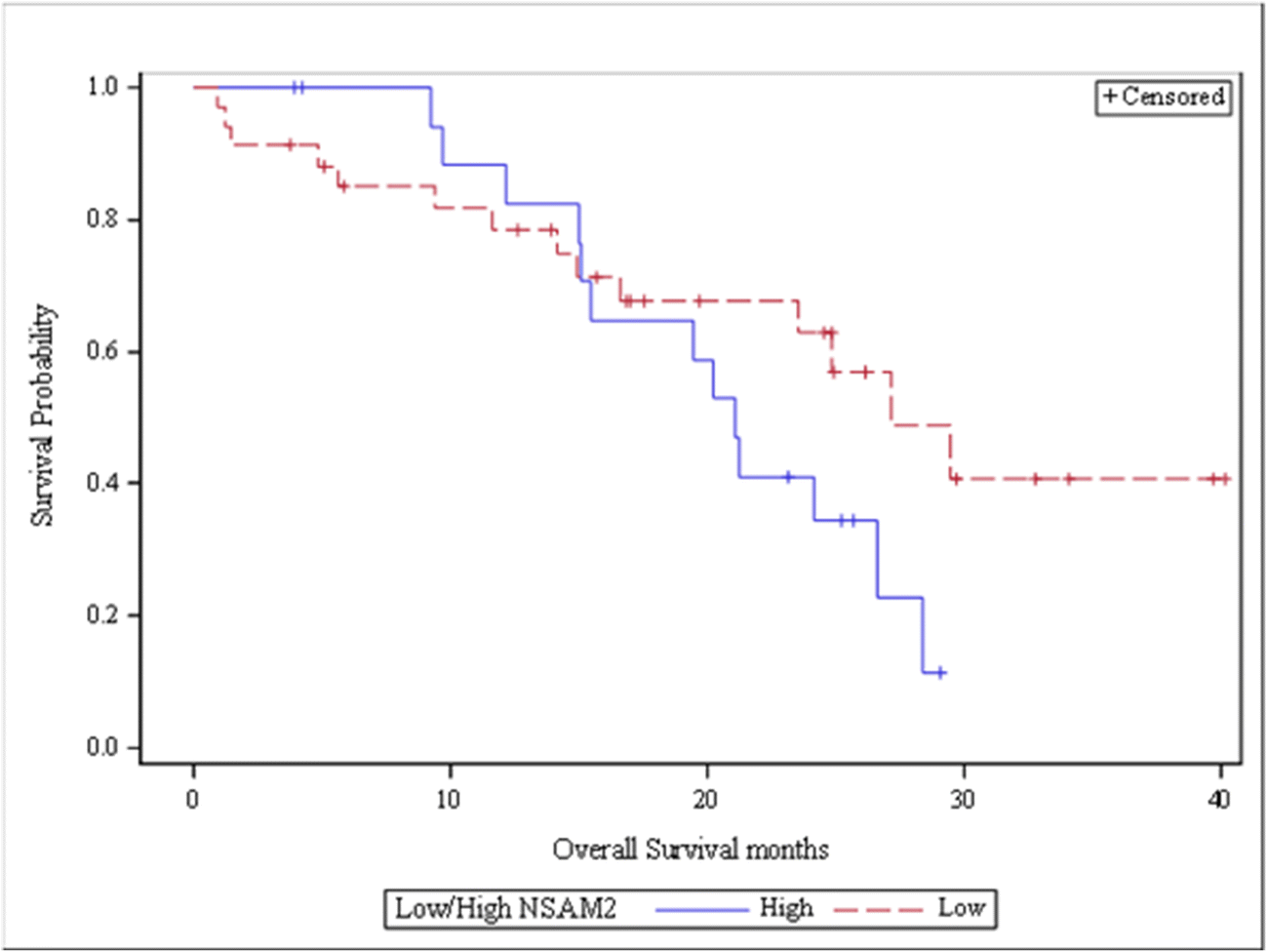 Metabolic Parameters as Predictors for Progression Free and Overall Survival of Patients with Metastatic Colorectal Cancer
