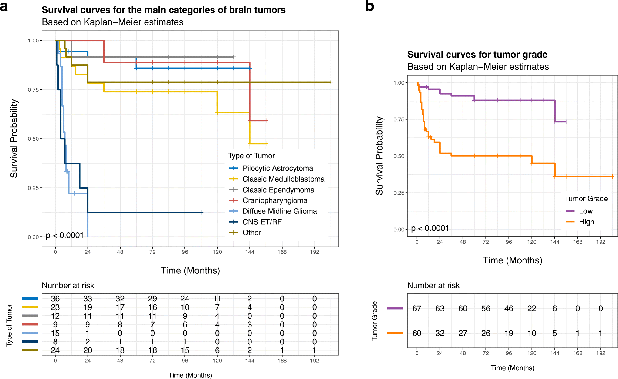 The Role of Time as a Prognostic Factor in Pediatric Brain Tumors: a Multivariate Survival Analysis