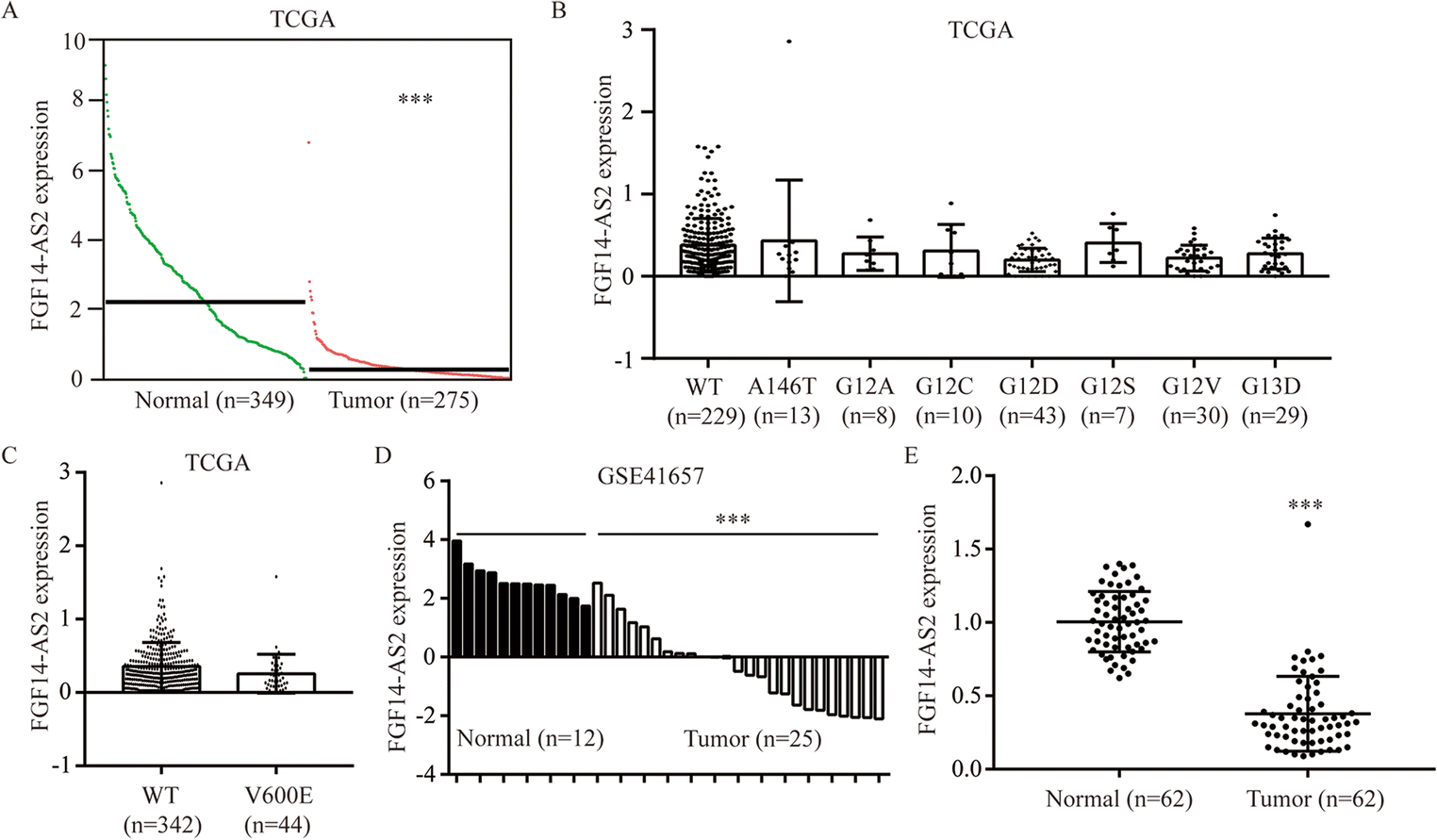 Overexpression of Long Non-Coding RNA FGF14-AS2 Inhibits Colorectal Cancer Proliferation Via the RERG/Ras/ERK Signaling by Sponging microRNA-1288-3p