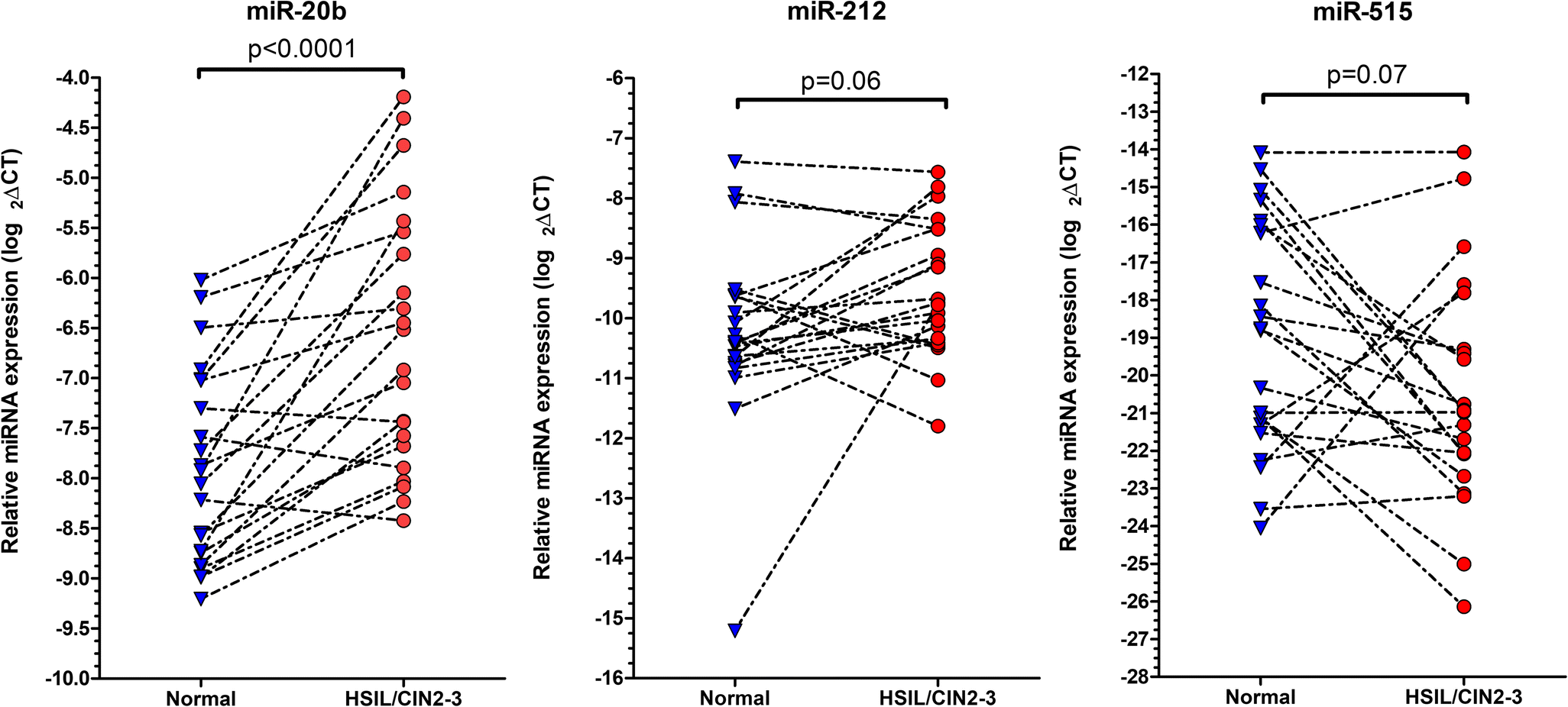 Increased miR-20b Level in High Grade Cervical Intraepithelial Neoplasia