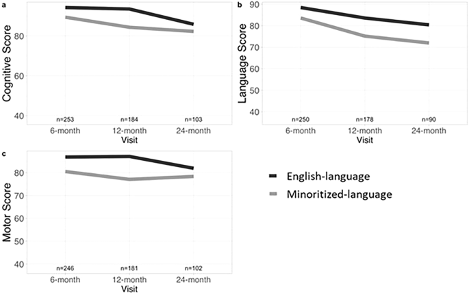 Association of maternal primary language with neurodevelopmental outcomes in high-risk infants