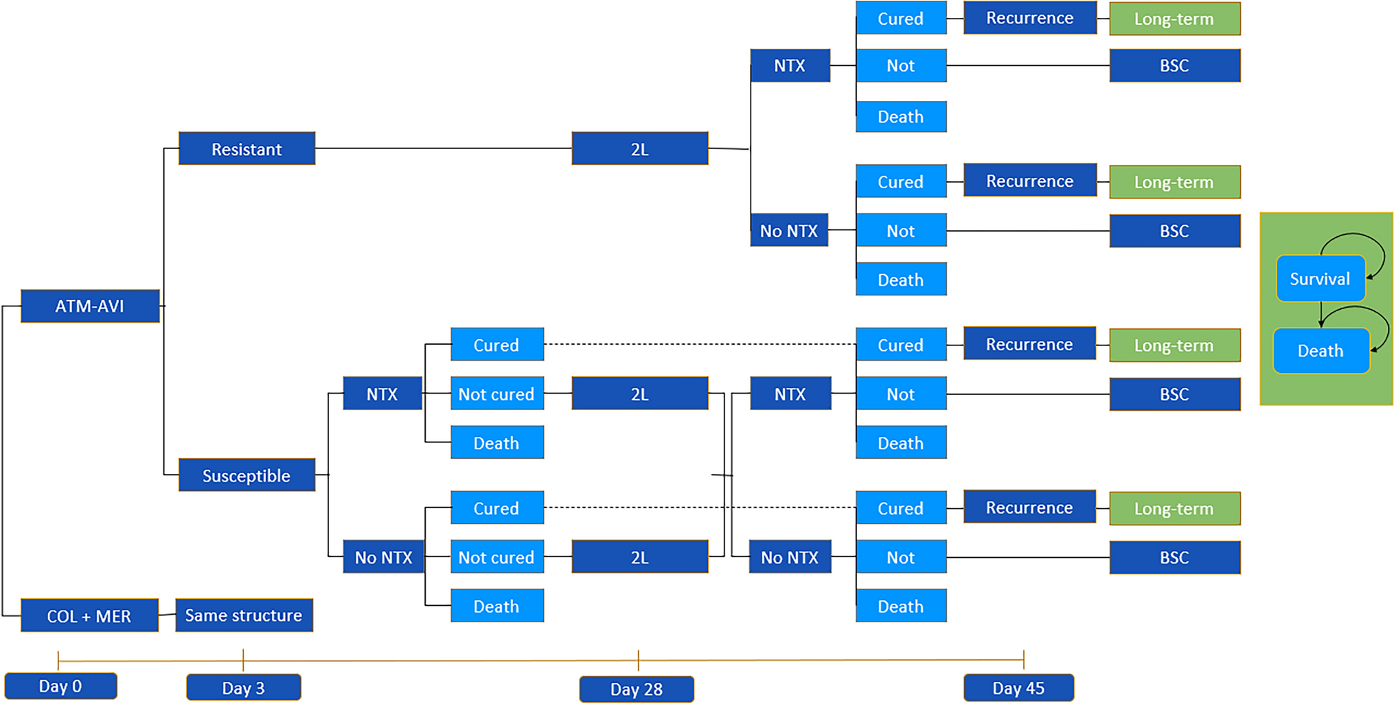 Cost-Effectiveness Analysis of Aztreonam-Avibactam (ATM-AVI) Versus Colistin + Meropenem (COL + MER) for the Treatment of Infections Caused by Metallo-β-Lactamase (MBL)-Producing  in Italy