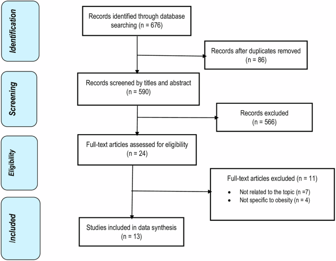 The clinical and economic burden of obesity in low- and middle-income countries: a systematic review