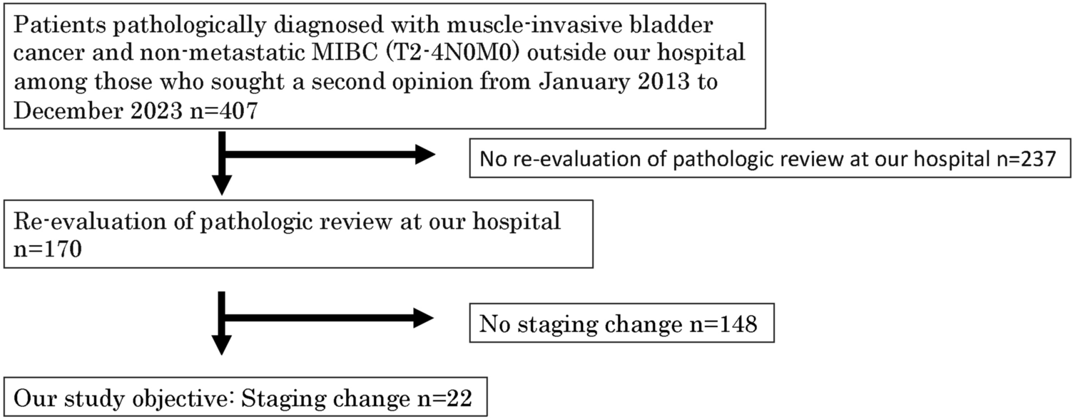 Second opinions and pathological review impact the clinical management of patients with muscle-invasive bladder cancer