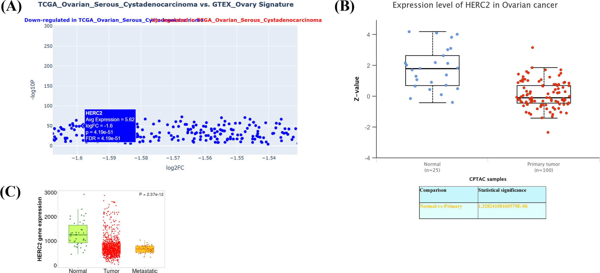 as a Potential Biomarker for Prognosis and Response to Bevacizumab in Ovarian Cancer: A Bioinformatics Approach
