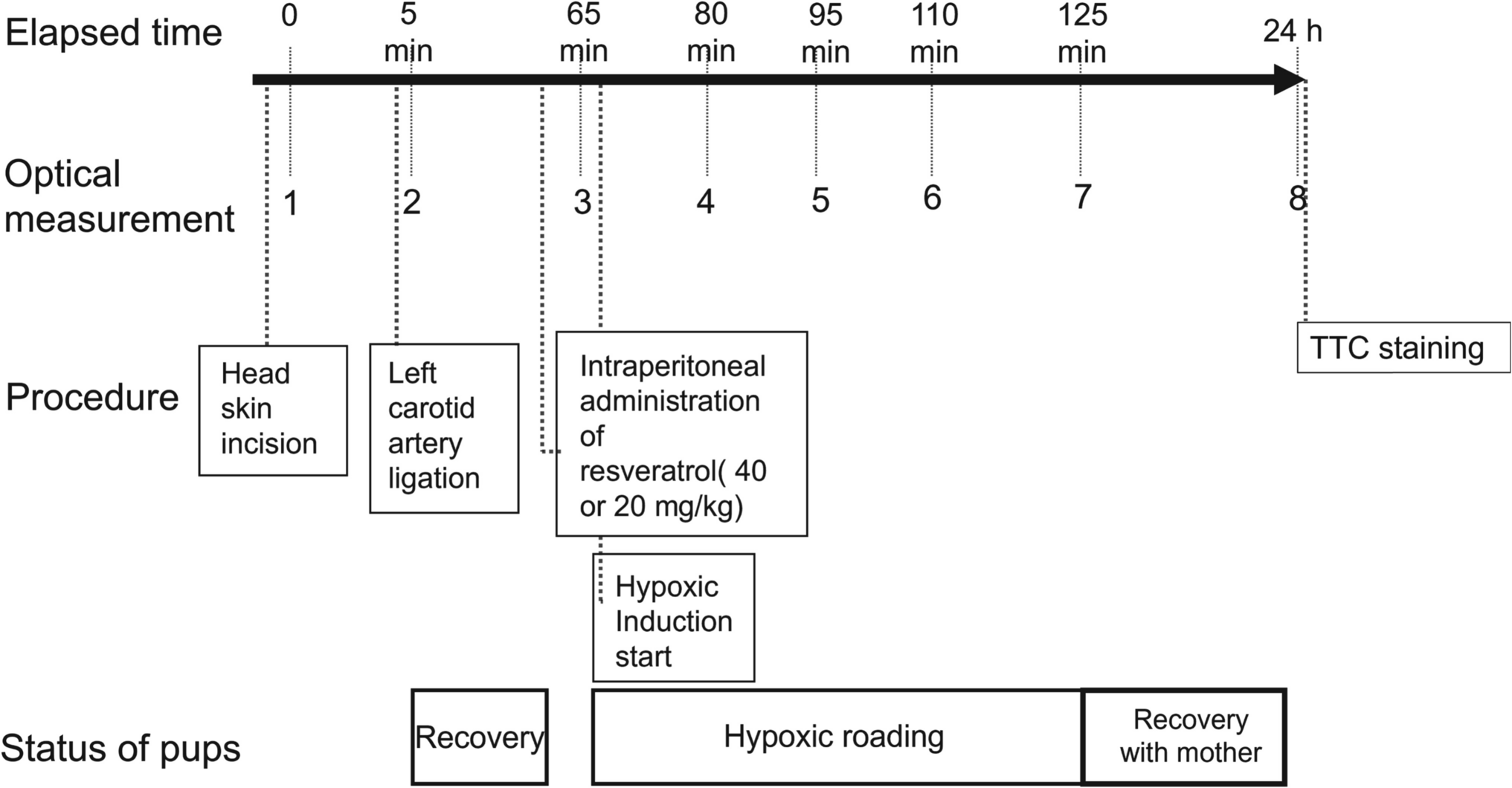 Optical Monitoring of the Therapeutic Effects of Resveratrol on Neonatal Hypoxic-Ischemic Encephalopathy Using Diffuse Reflectance Spectroscopy