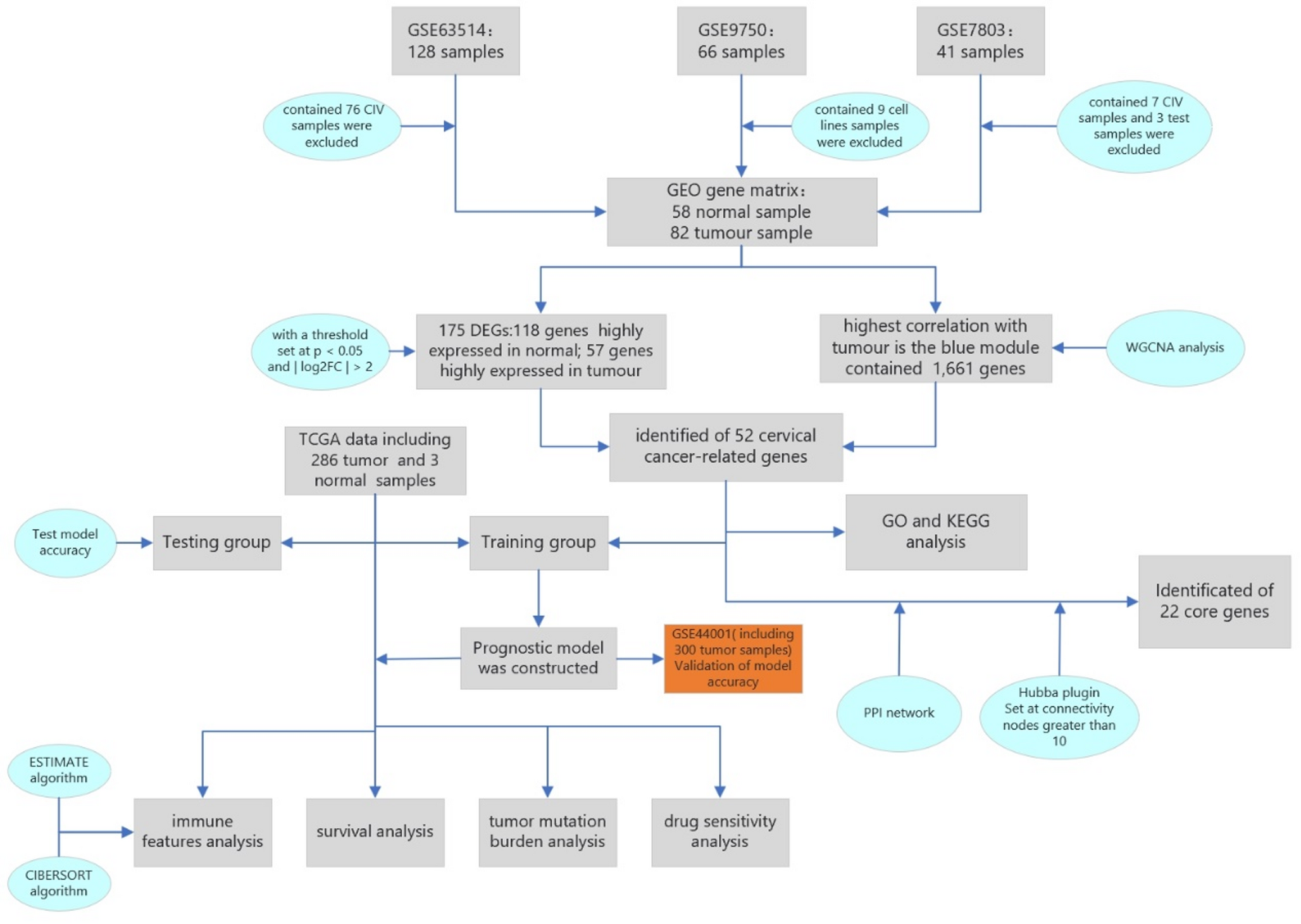 Construction and Validation of a Novel Prognostic Model Based on Cervical Cancer-Related Genes