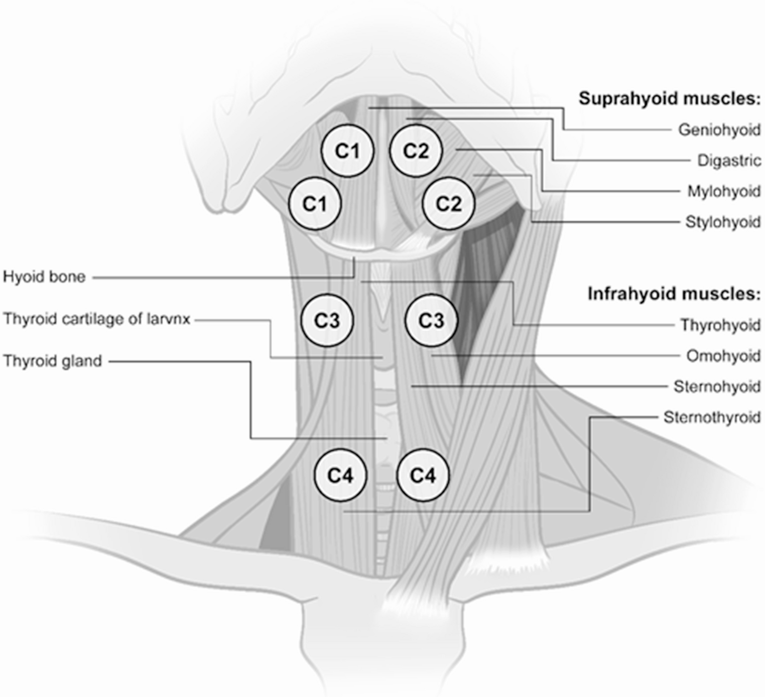 Restorative effect of sequential 4-channel neuromuscular electrical stimulation in obstructive sleep apnea: a feasibility study