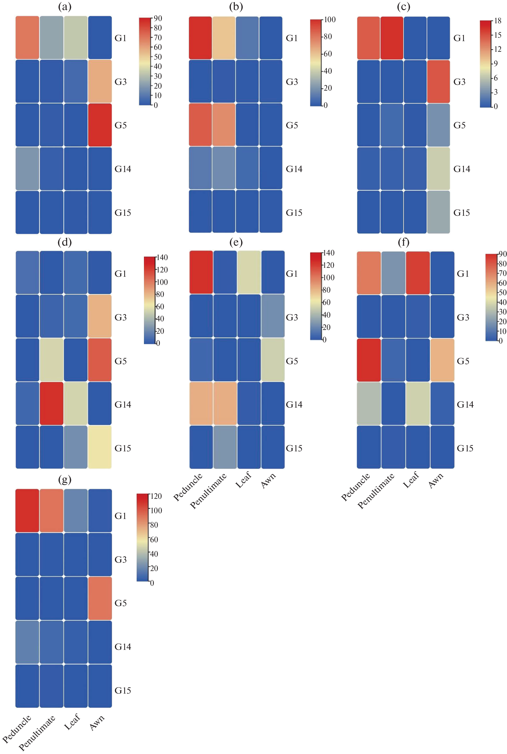 Antioxidant Enzyme Gene Expression in Barley under Drought Stress
