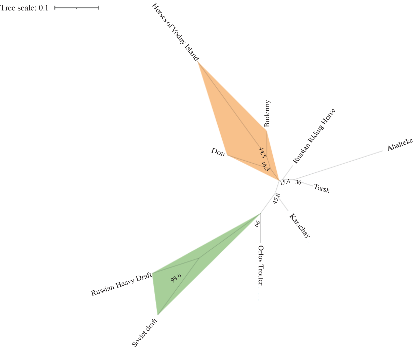 Island Population of Feral Horses: Origin and Genetic Diversity