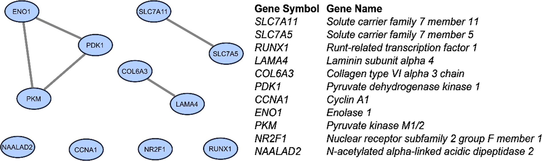Abstracts from the 55th European Society of Human Genetics (ESHG) Conference: e-Posters