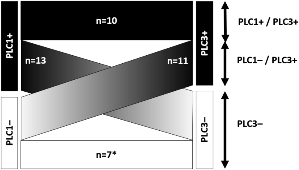 Serial changes in pleural lavage cytology during lung cancer surgery predict recurrence and pleural dissemination