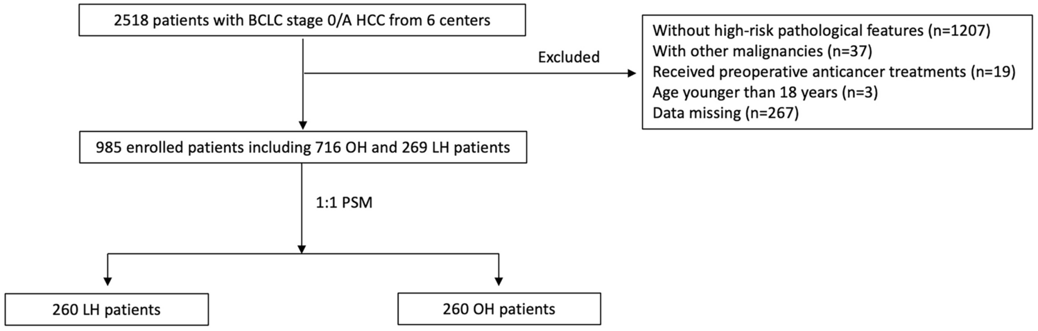 Laparoscopic versus open hepatectomy in hepatocellular carcinoma patients with high-risk pathological features: a multicenter propensity score-matched study