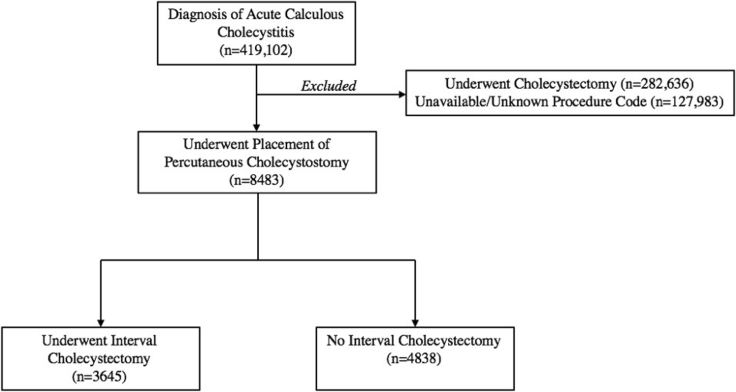 Correction: Barriers to interval cholecystectomy following percutaneous cholecystostomy in patients with acute calculous cholecystitis