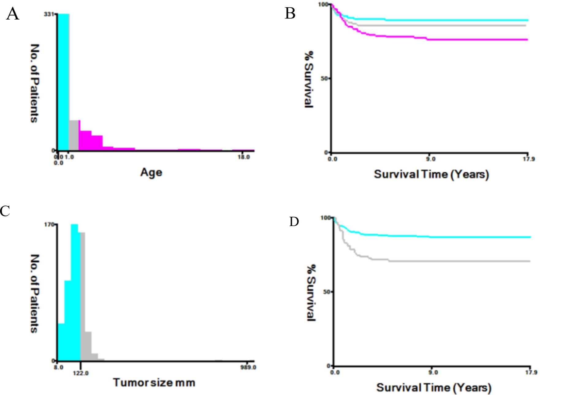 Prognostic prediction of hepatoblastoma in children: development and validation of machine learning models—an SEER-based study