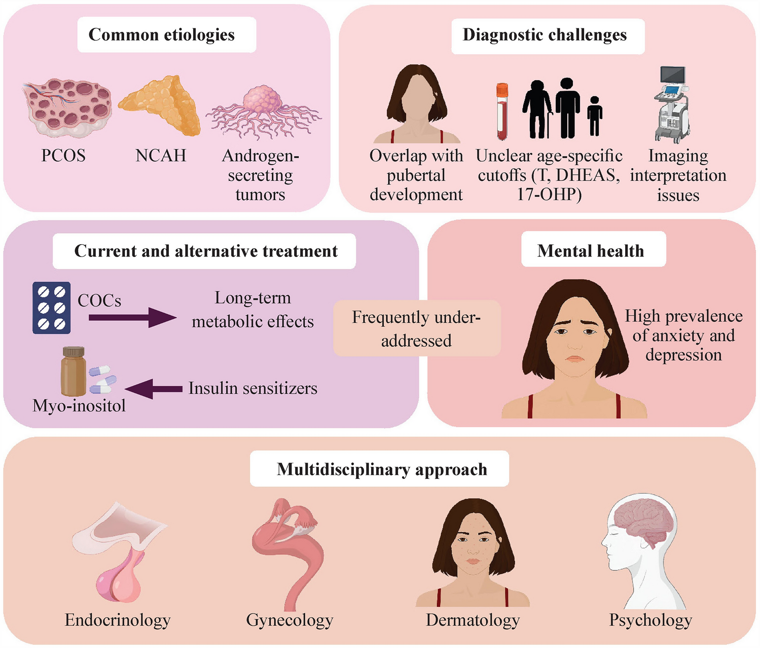 Adolescent hyperandrogenism: diagnostic challenges and therapeutic approaches