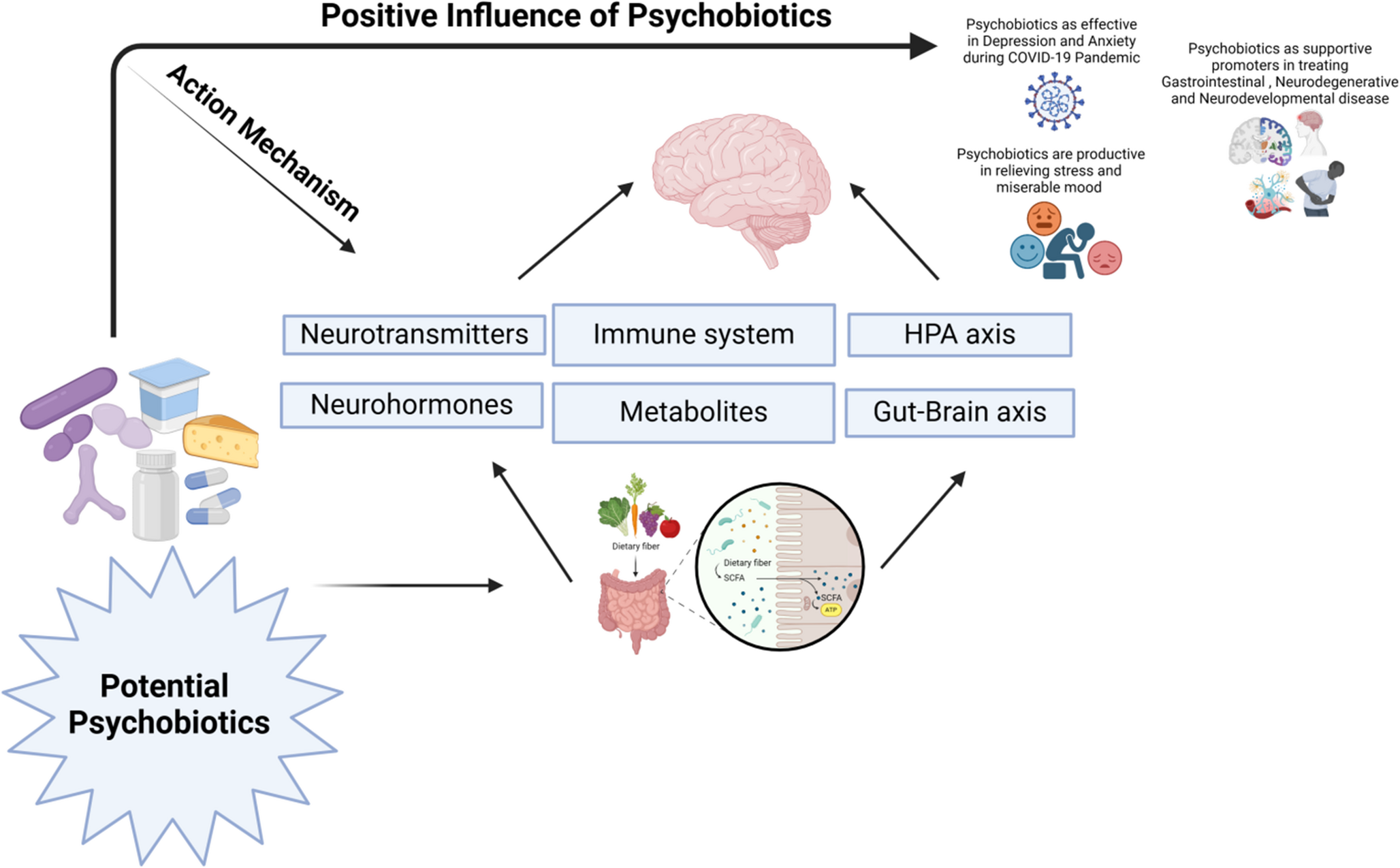 The psychobiotic revolution: comprehending the optimistic role of gut microbiota on gut-brain axis during neurological and Gastrointestinal (GI) disorders