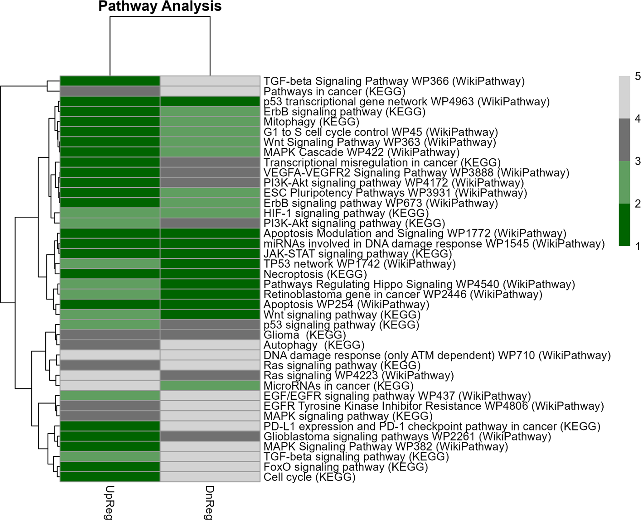Investigating glioblastoma chemoresistance: a meta-analysis of microRNA signatures and gene networks