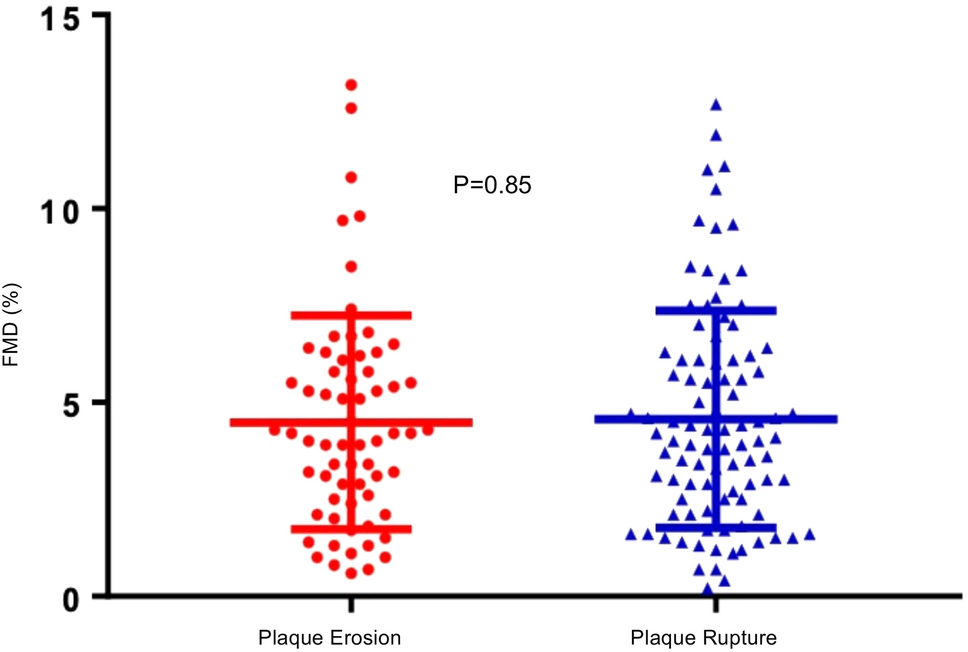 Endothelial dysfunction in plaque rupture and plaque erosion