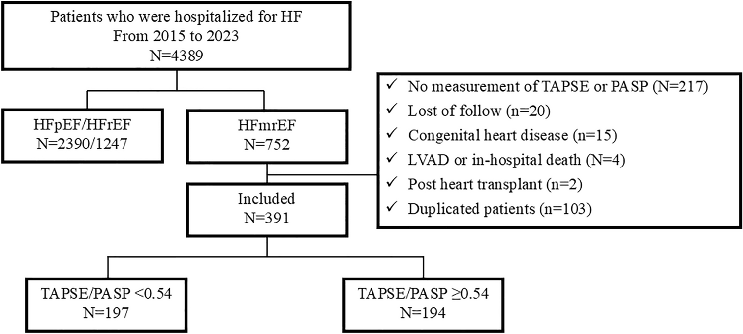 Prognostic significance of right ventricular–pulmonary artery coupling assessed by TAPSE/PASP ratio in patients with HFmrEF