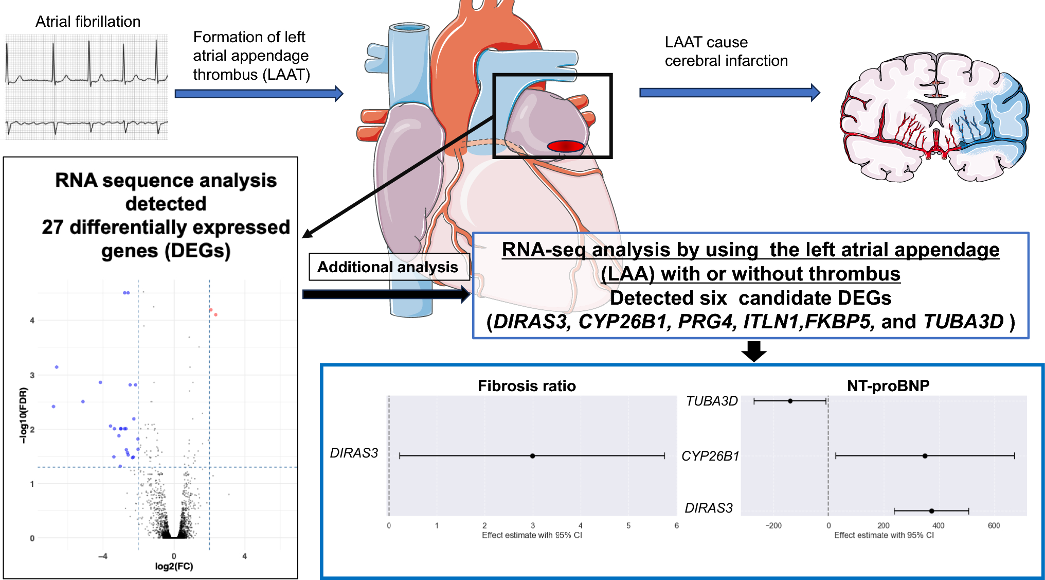 RNA sequence analysis of differentially expressed genes in left atrial appendage thrombus
