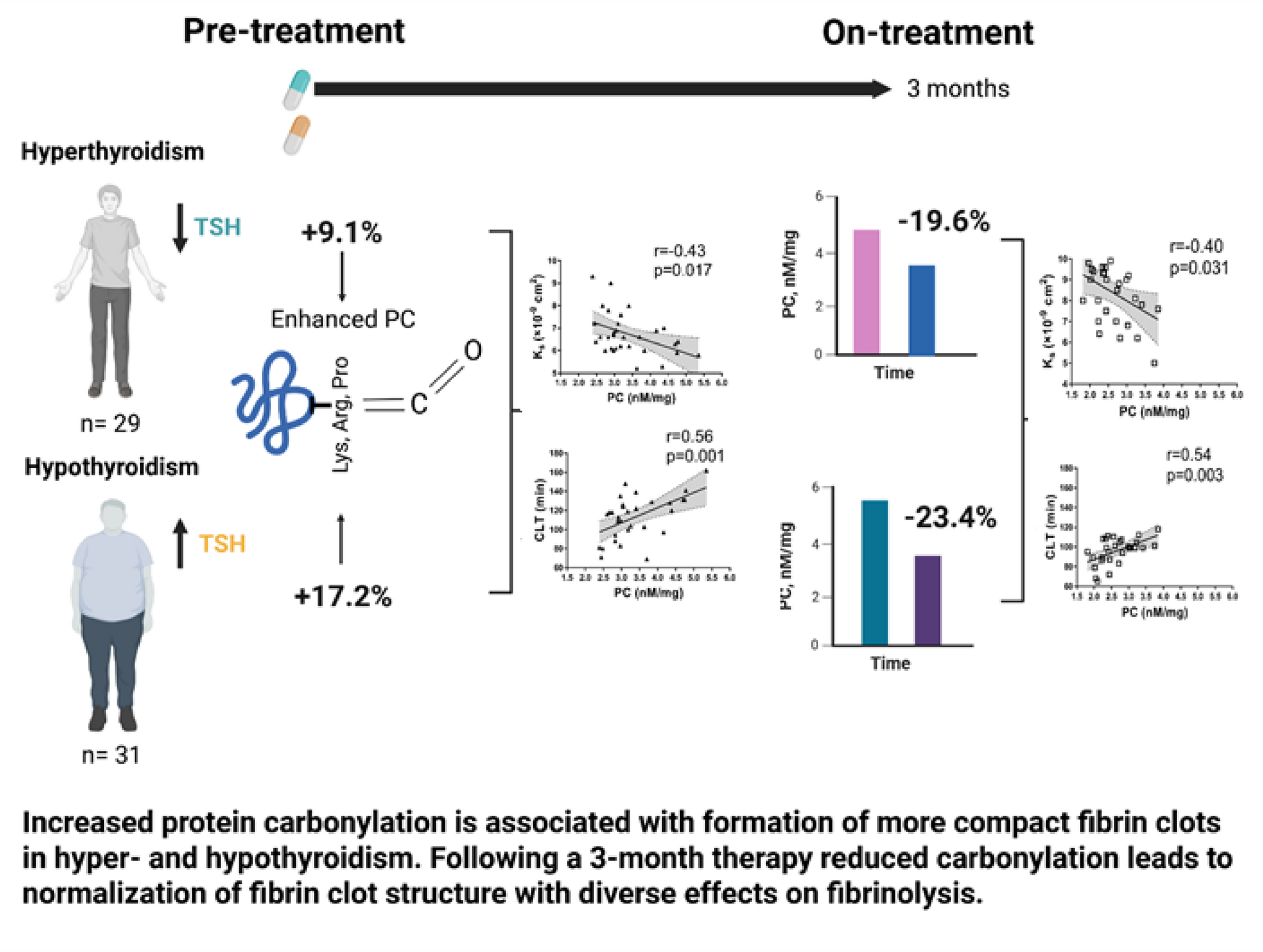 Protein carbonylation as a modulator of fibrin clot properties in thyroid disorders: impact of therapy
