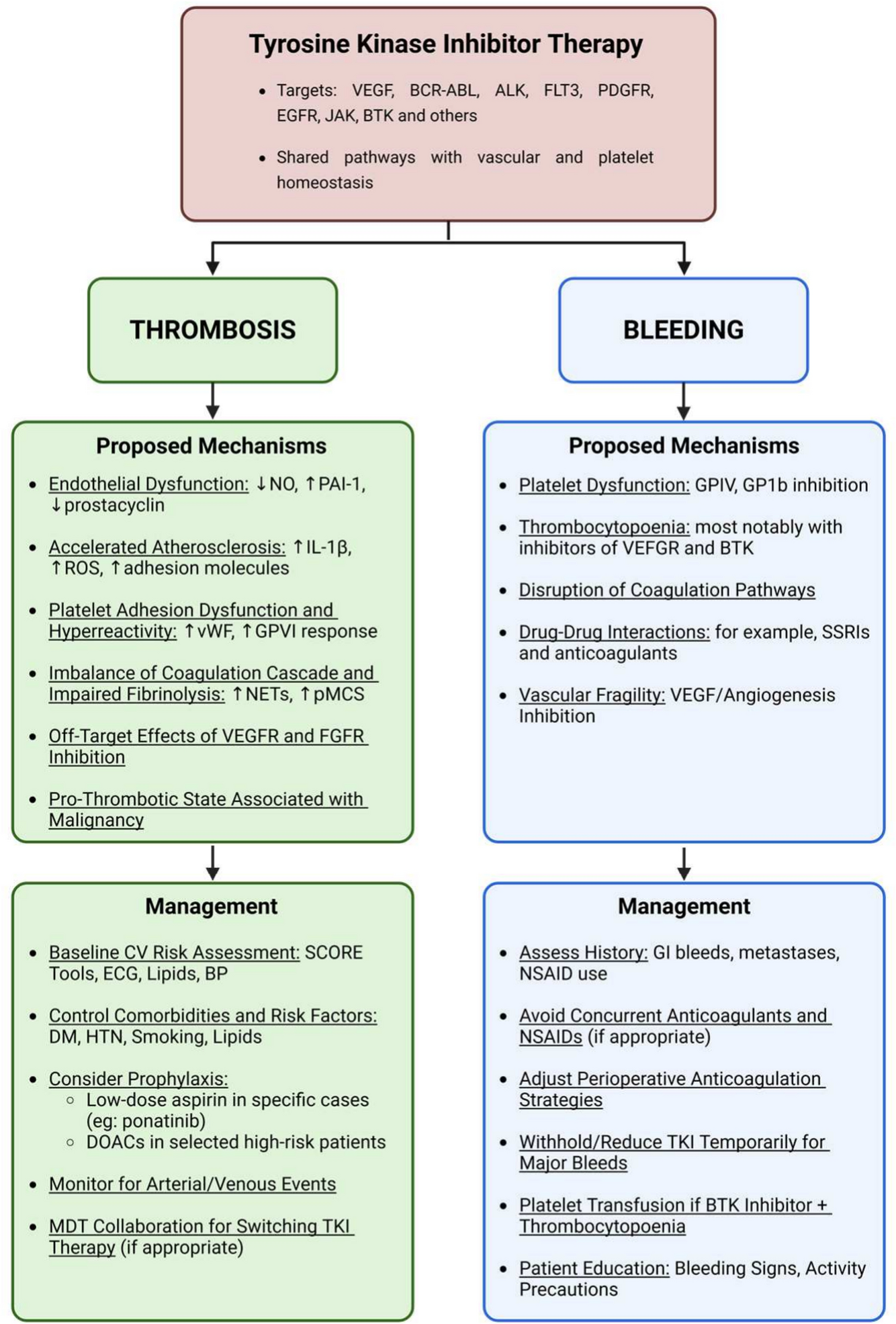 Tyrosine kinase inhibitors - balancing the haemostatic scales: a review of associated thrombosis and bleeding