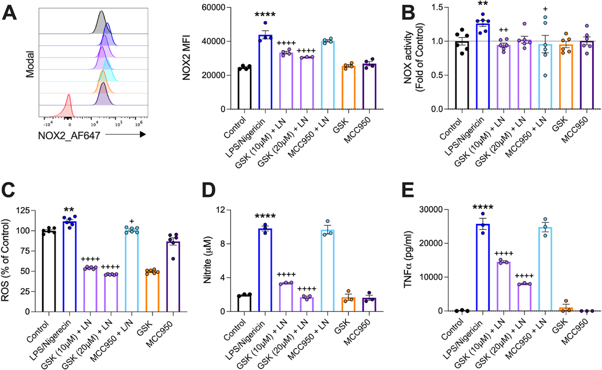 The NOX2-ROS-NLRP3 inflammasome axis in traumatic brain injury