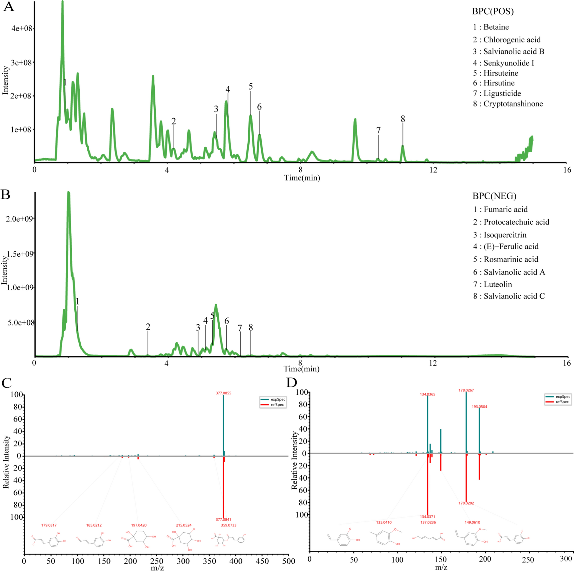 HuoXue QianYang QuTan recipe attenuates myocardial hypertrophy in obese hypertensive rats by regulating MPC1/MCT4 mediated pyruvate-lactate metabolic axis