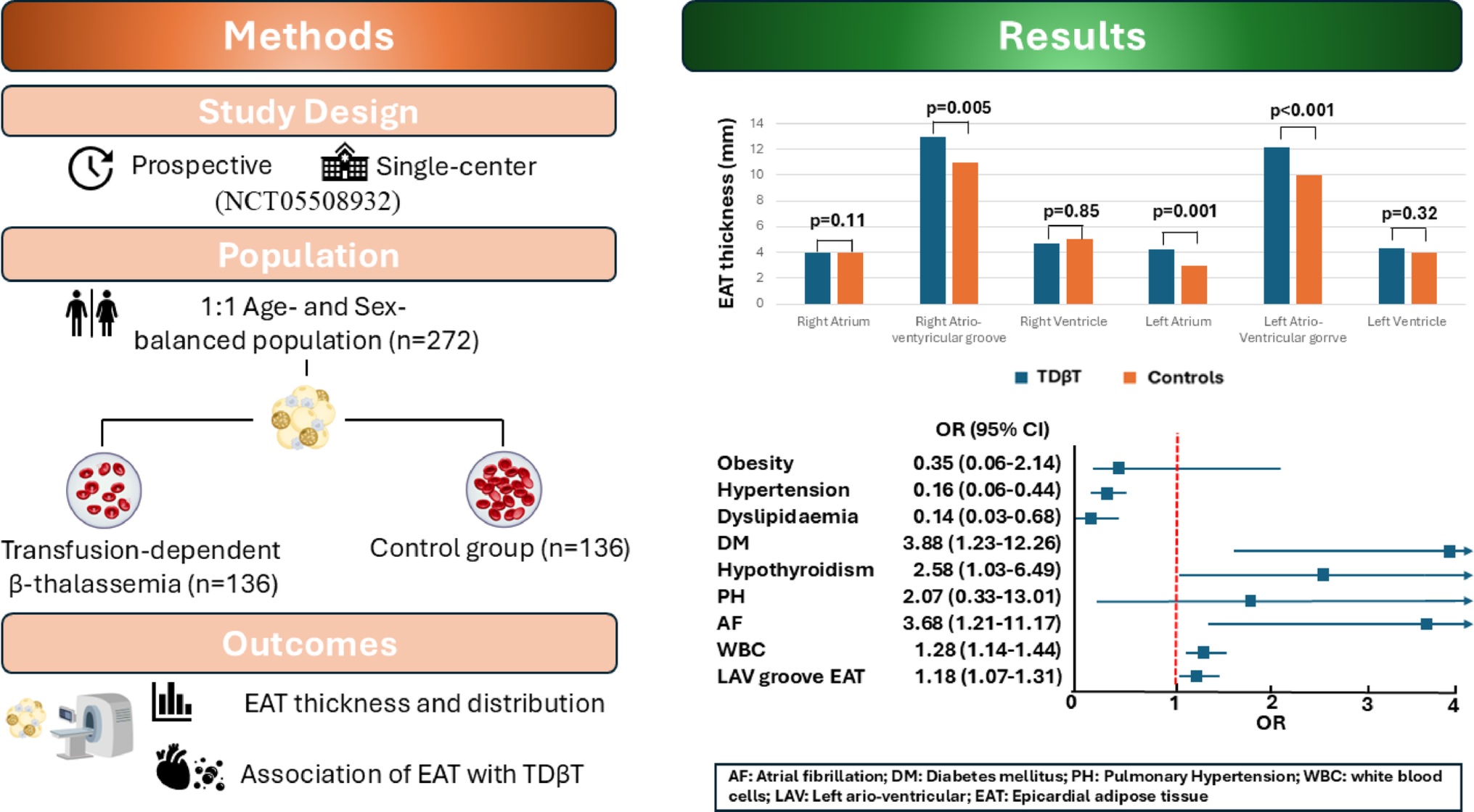 Association between epicardial adipose tissue and transfusion-dependent β-thalassemia