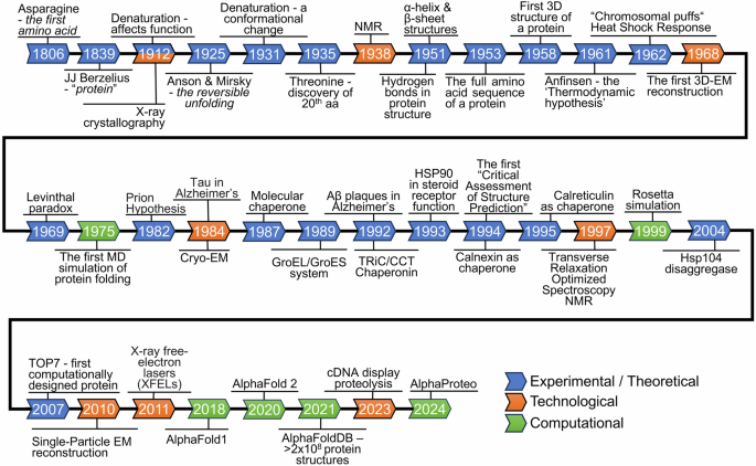 Navigating the landscape of protein folding and proteostasis: from molecular chaperones to therapeutic innovations