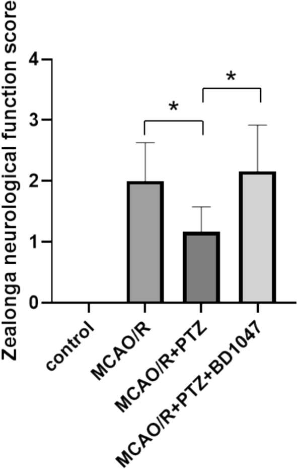 Investigation of the mechanism by which sigma-1 receptor protein mediates the IRE1-XBP-1s pathway to alleviate cerebral ischemia–reperfusion injury