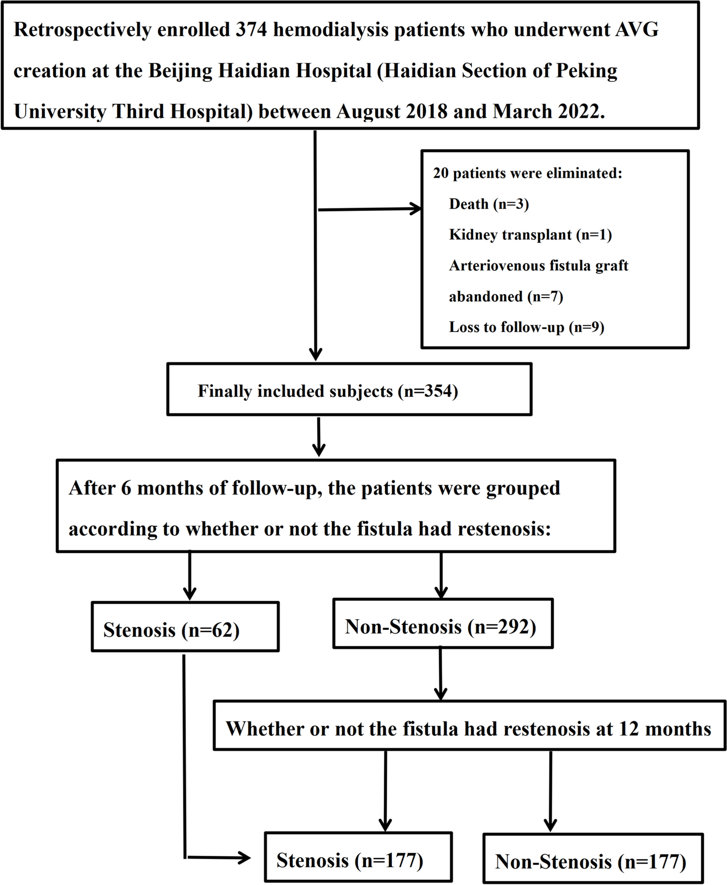 Development of a prediction model to estimate short- and long-term clinical outcomes in arteriovenous grafts for hemodialysis patients