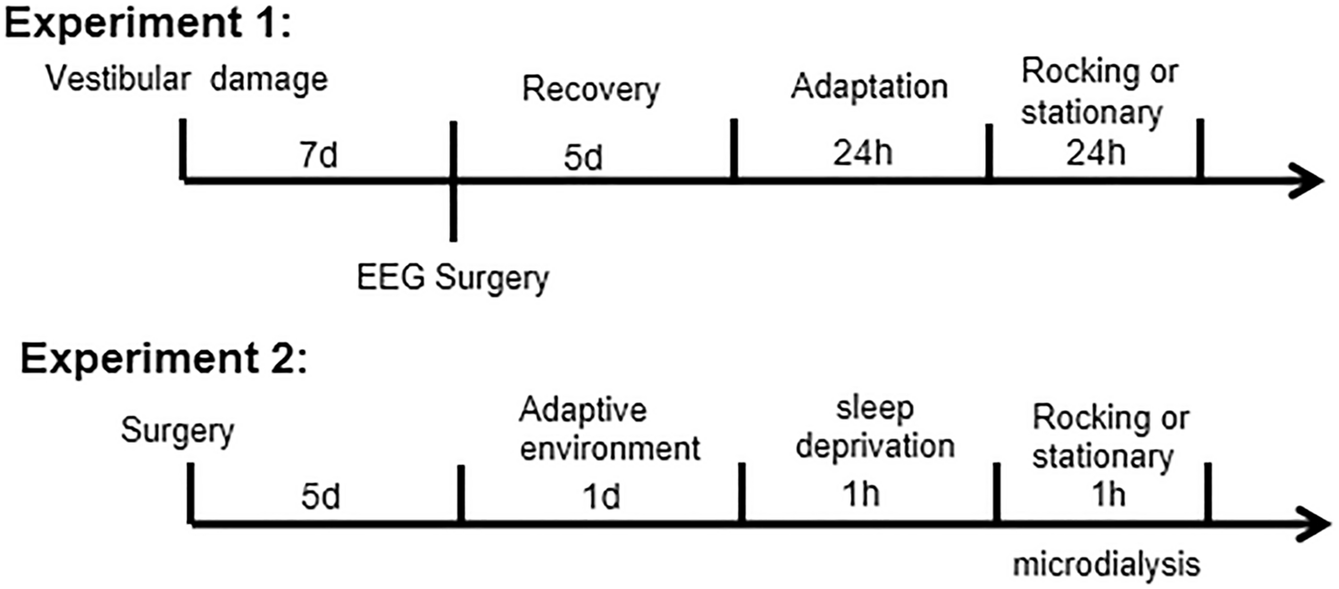 Effects of uniform rocking motion on VLPO regional GABA/Glu contents and sleep in rats