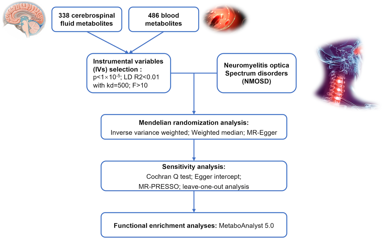 Acetylcarnitine in cerebrospinal fluid and blood as a protective factor for neuromyelitis optica spectrum disorders: a mendelian randomization study