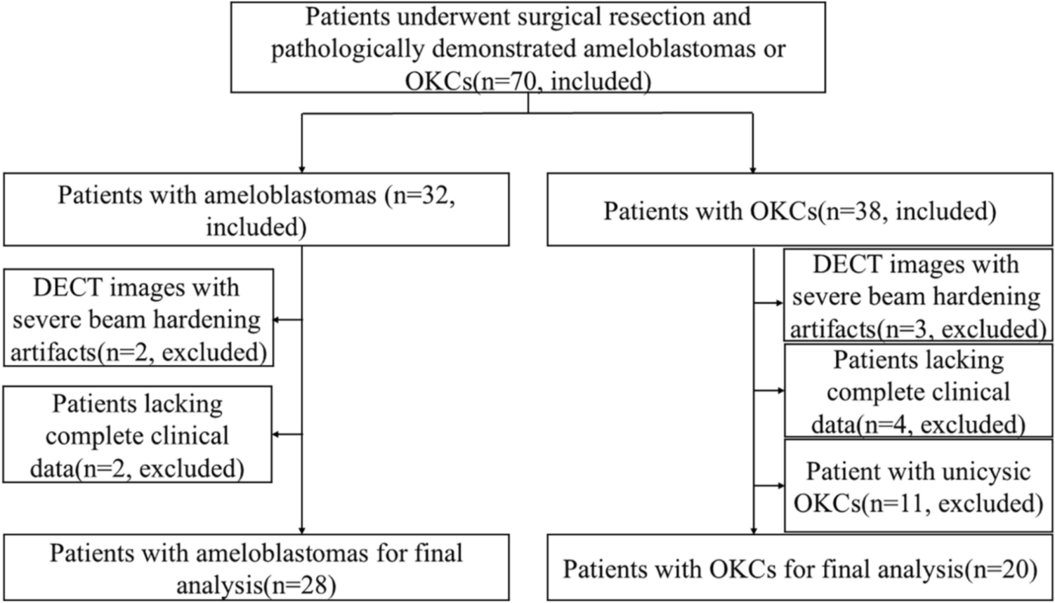 Dual-energy CT quantitative parameters can improve the performance of differential diagnostic between ameloblastomas and odontogenic keratocysts with solid components