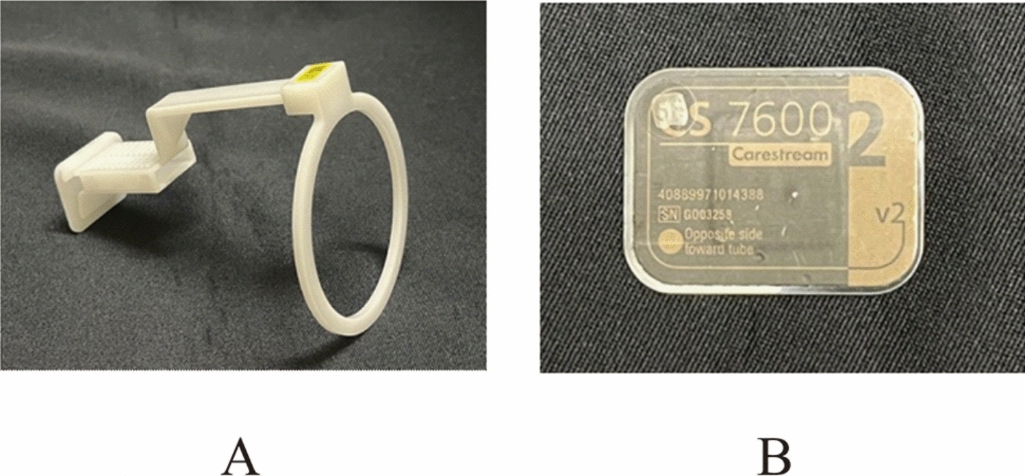 Impacts of X-ray beam angulation and image receptor positioning on the quantification of alveolar bone mineral density using intraoral radiographic technique