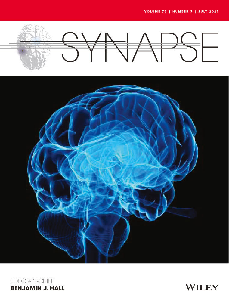 Prefrontal neuronal morphology in kindling‐prone (FAST) and kindling‐resistant (SLOW) rats