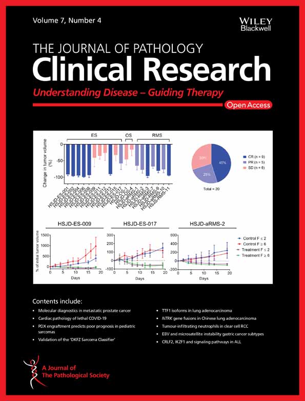 STING pathway expression in low‐grade serous carcinoma of the ovary: an unexpected therapeutic opportunity?