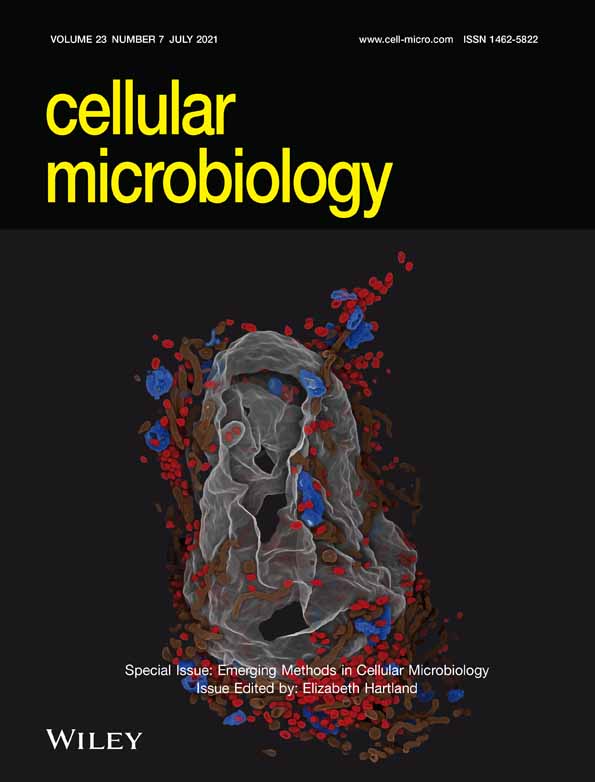 Galectin‐3 regulates proinflammatory cytokine function and favors Brucella abortus chronic replication in macrophages and mice