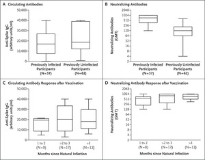 SARS-CoV-2 Antibody Response in Persons with Past Natural Infection