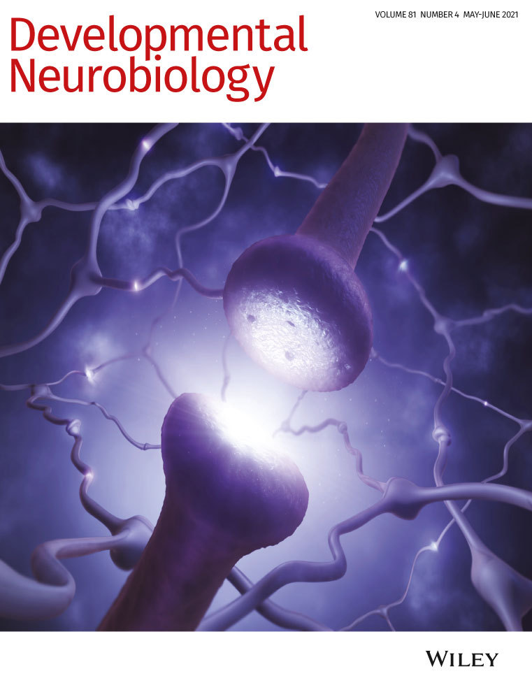 Effects of deubiquitylases on the biological behaviors of neural stem cells