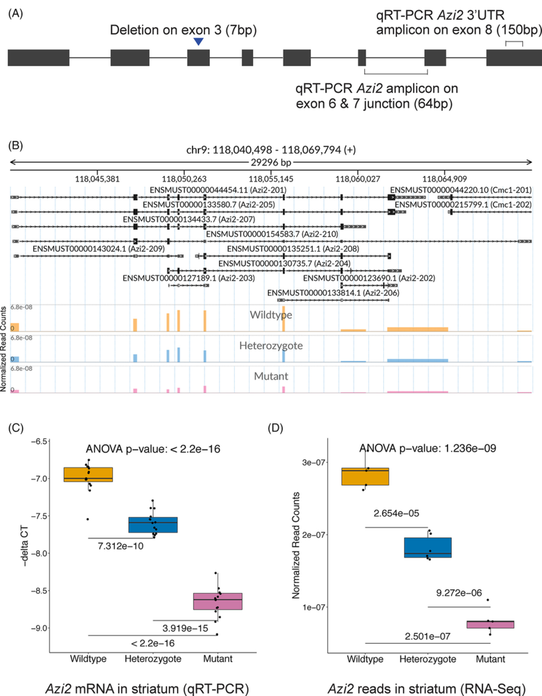 Functional validation of a finding from a mouse genome‐wide association study shows that Azi2 influences the acute locomotor simulant response to methamphetamine