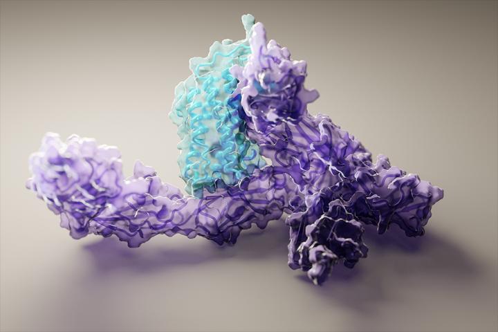Accurate protein structure prediction now accessible to all