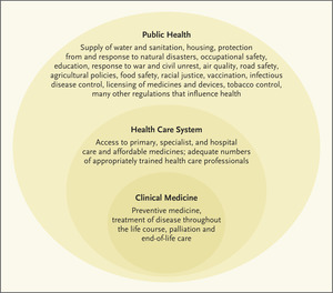 The Complementarity of Public Health and Medicine — Achieving "the Highest Attainable Standard of Health"