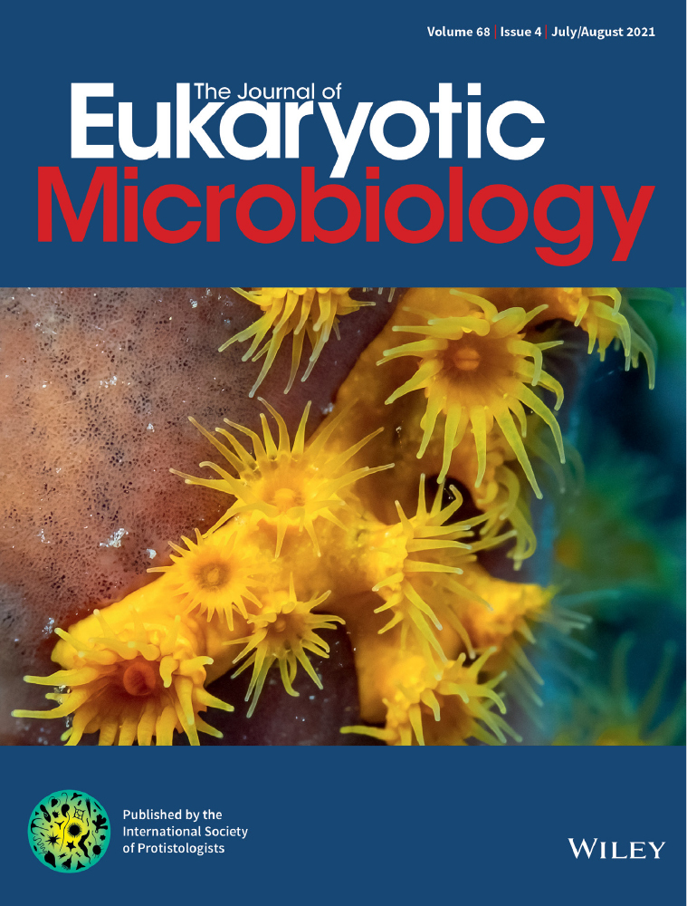 New Isolate of Loma psittaca (Microsporidia: Glugeidae) Infecting the Stomach Wall of Cultured Hybrid Grouper (Epinephelus lanceolatus♂ × Epinephelus fuscoguttatus♀) in South China