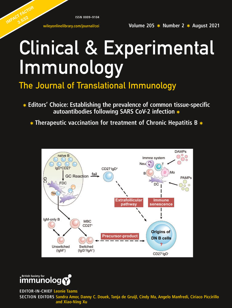 Improved function and balance in T cell modulation by endothelial cells in young people