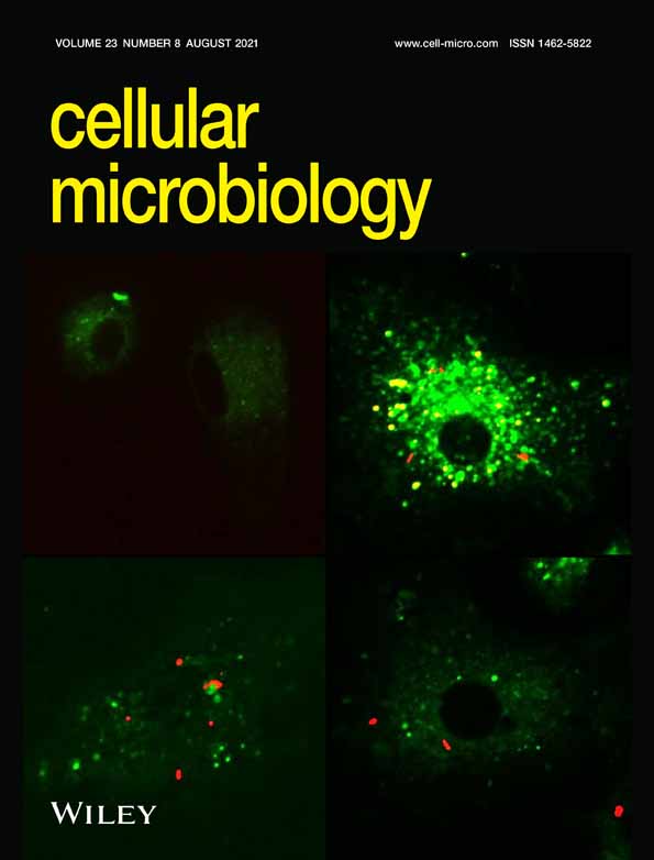Host manipulation by bacterial type III and type IV secretion system effector proteases