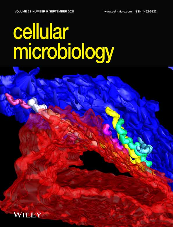 BSC2 induces multidrug resistance via contributing to the formation of biofilm in Saccharomyces cerevisiae