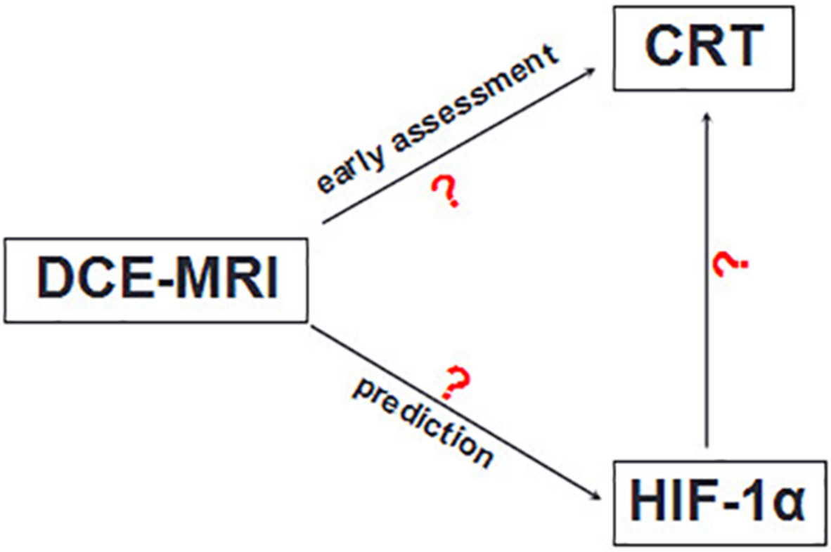 DCE‐MRI for early evaluation of therapeutic response in esophageal cancer after concurrent chemoradiotherapy and its values in predicting HIF‐1α expression